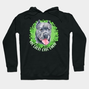 One Lucky Cane Corso Funny St. Patrick Dog Hoodie